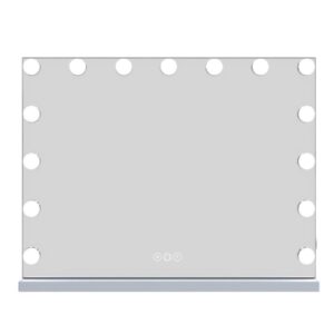 Holmdel Large Dressing Mirror With LED Lighting In Clear