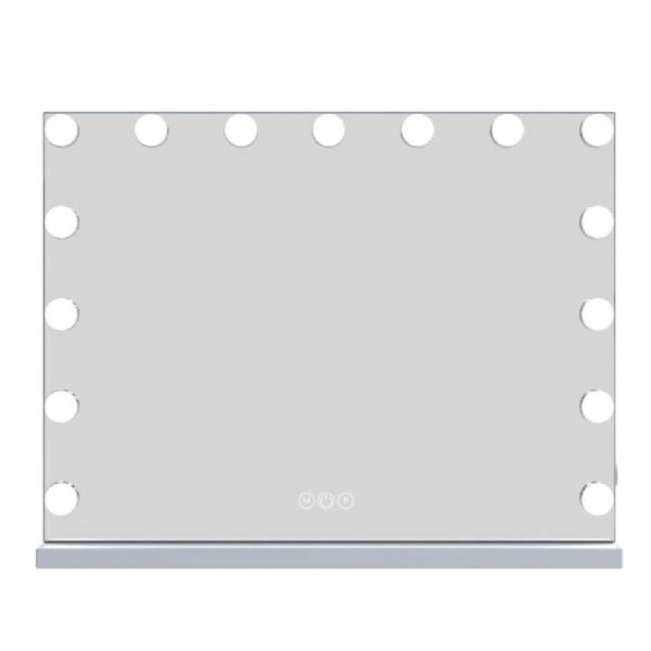 Holmdel Large Dressing Mirror With LED Lighting In Clear